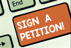 Screen Shot 2020-08-01 at 10.01.48 AM